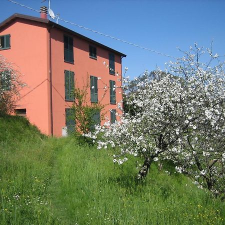 Agriturismo Casalino 베베리노 외부 사진