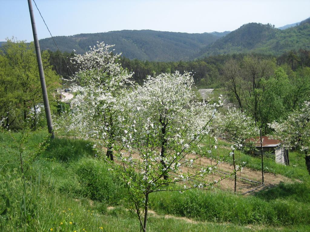 Agriturismo Casalino 베베리노 외부 사진