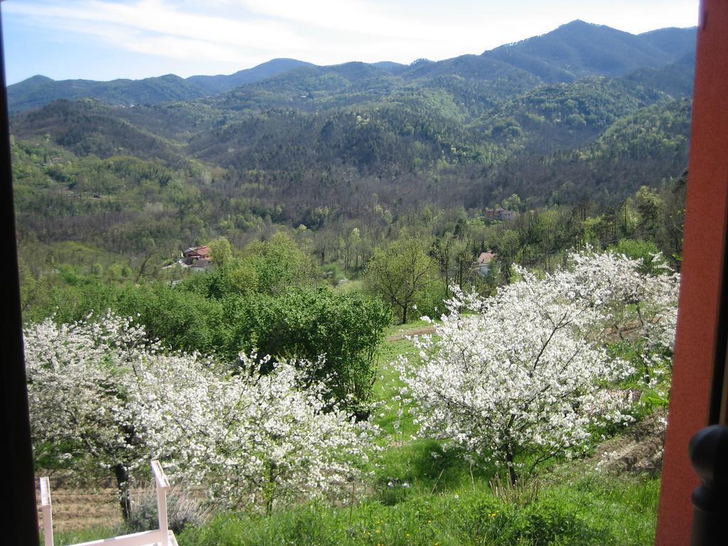 Agriturismo Casalino 베베리노 외부 사진