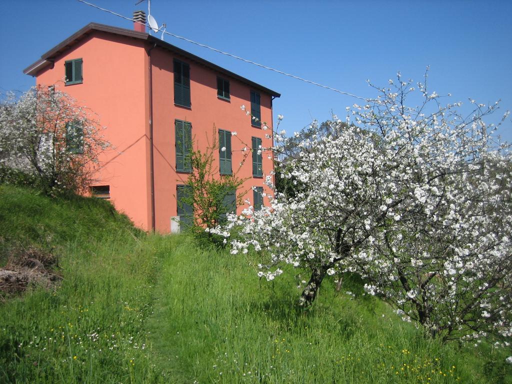 Agriturismo Casalino 베베리노 외부 사진